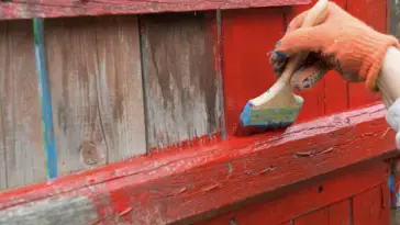 paint