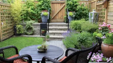 Backyard design