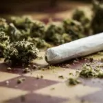 cbd joints