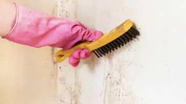 cleaning