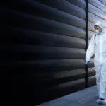 pest cleaning