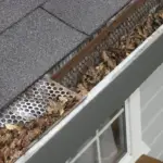clogs in gutter