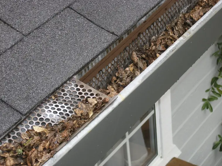 clogs in gutter