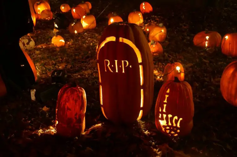 Tribute Message To A Dead Friend