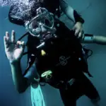 marine life