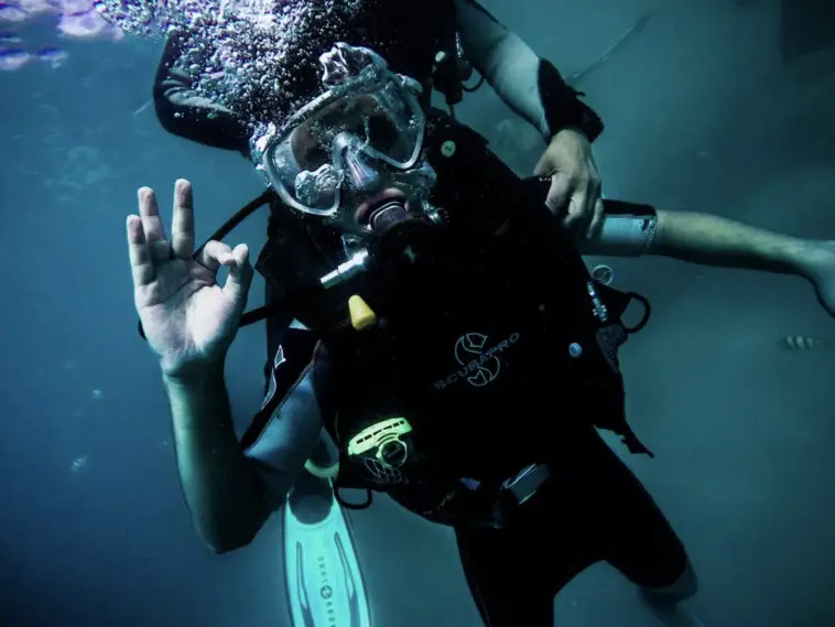 marine life