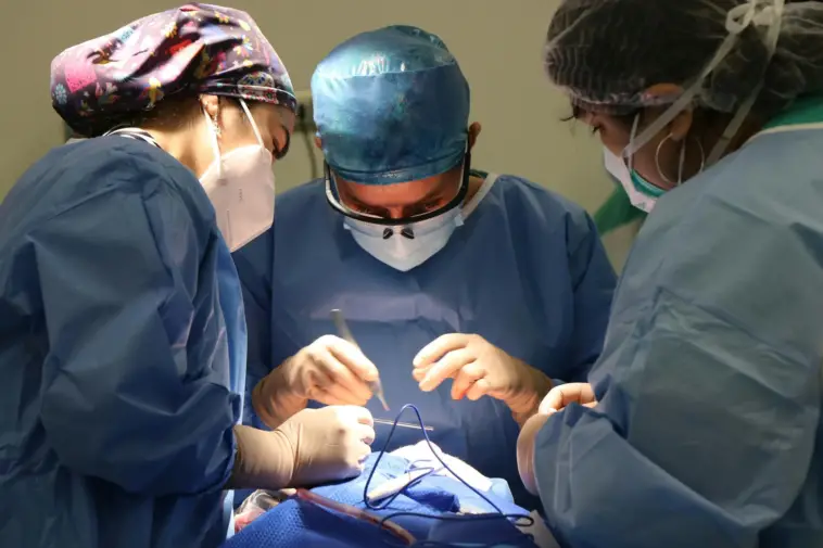 surgeon
