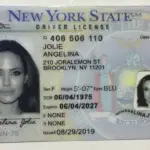 fake id