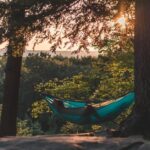 Hammocks