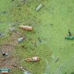 Sustainable Waste Management