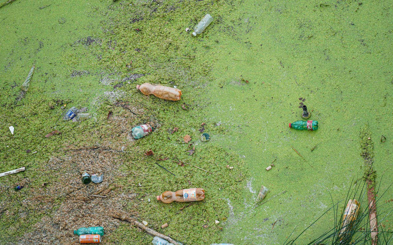 Eco-Friendly Home Renovation in Huntsville: A Guide to Sustainable Waste Management