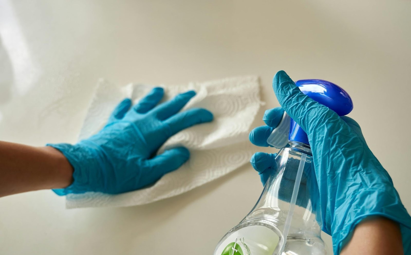 Coordinating Professional Services for Home Upkeep Priorities