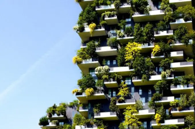 Principles That Shape Resilient Green Enterprises