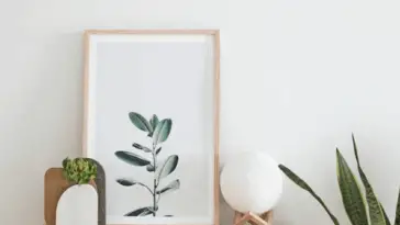 Space Into A Stylish