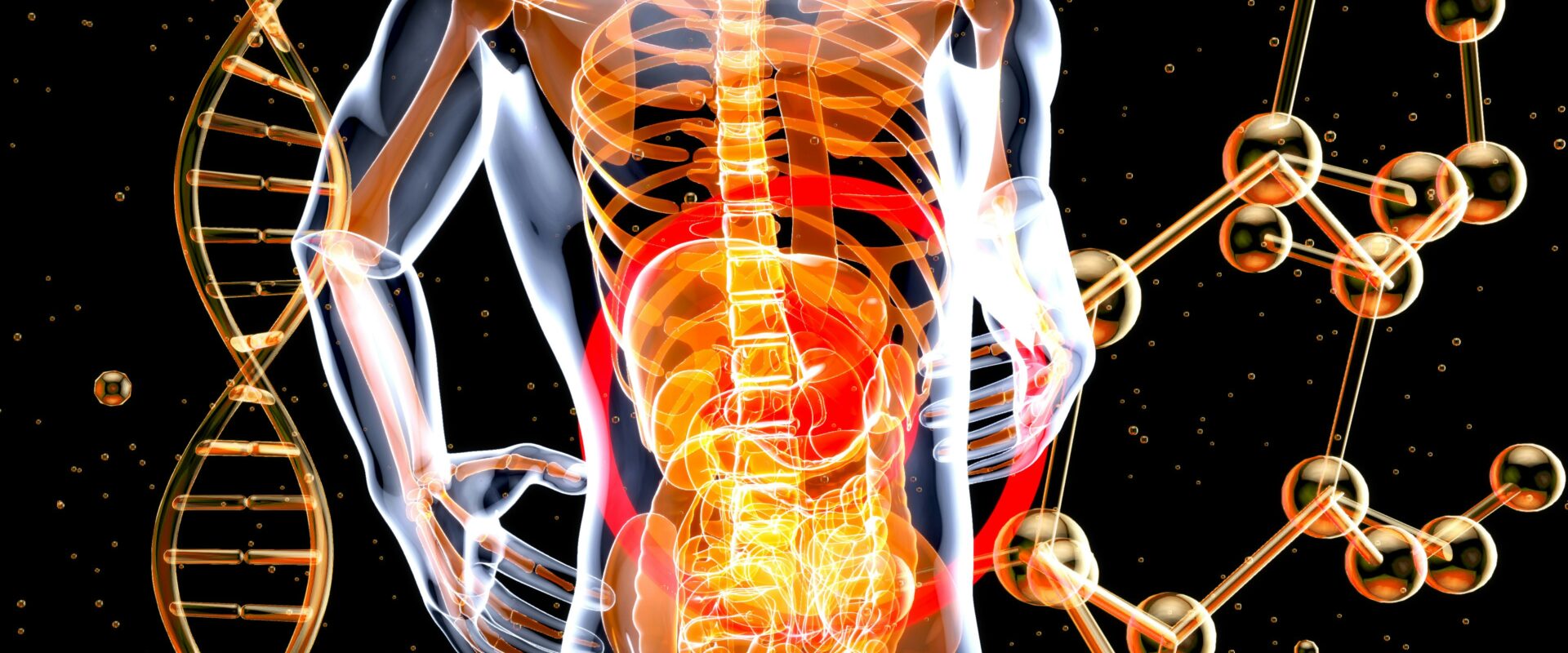 Digestive Health Check: When Screening Becomes Important