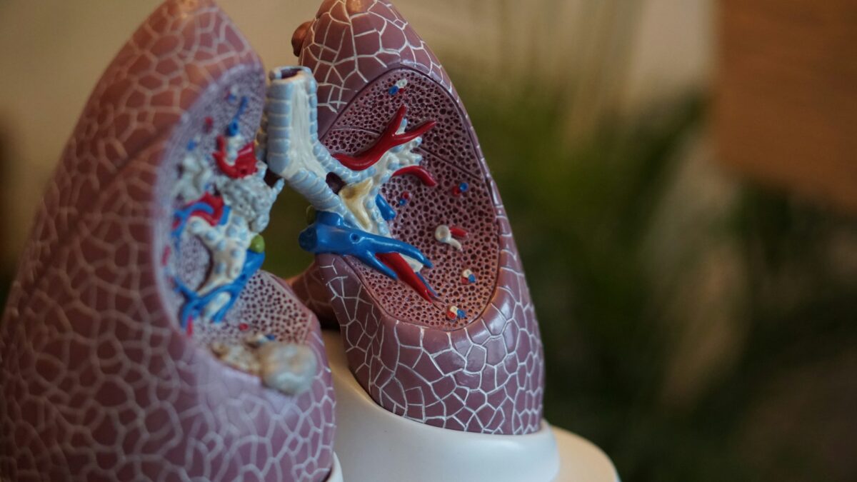 What To Expect When a Mesothelioma Diagnosis Is Explained